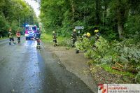 _2025-06-23 Sturmschaden B141 Pramwald-0423